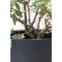 Pottery Pots Natural Bucket ronde plantenbak zwart detail